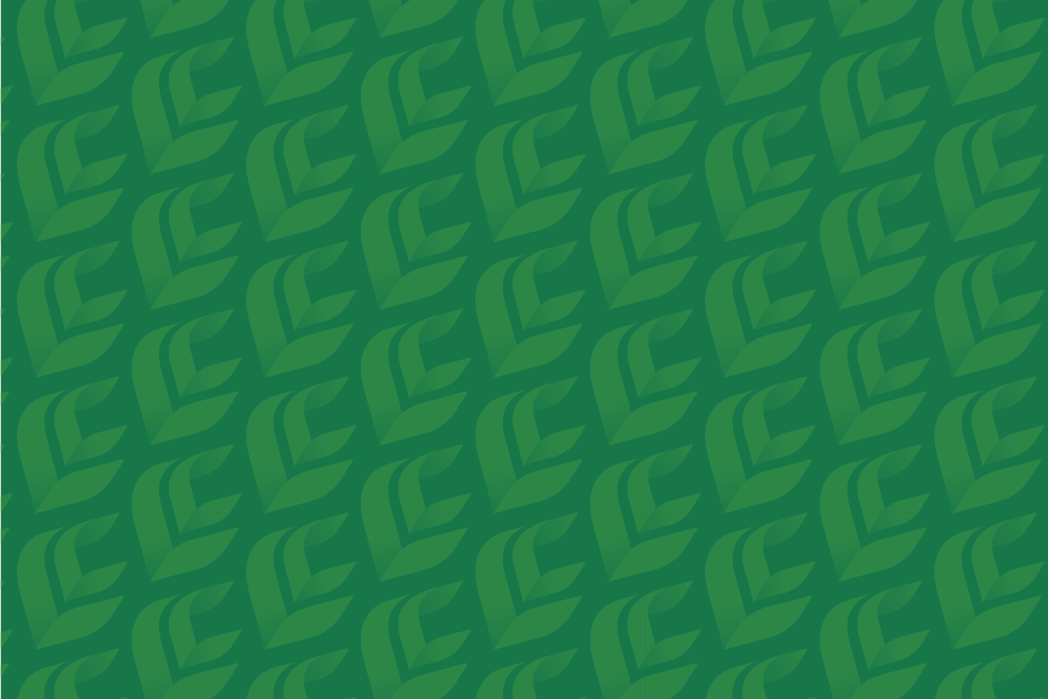 Losee_Consulting_Pattern
