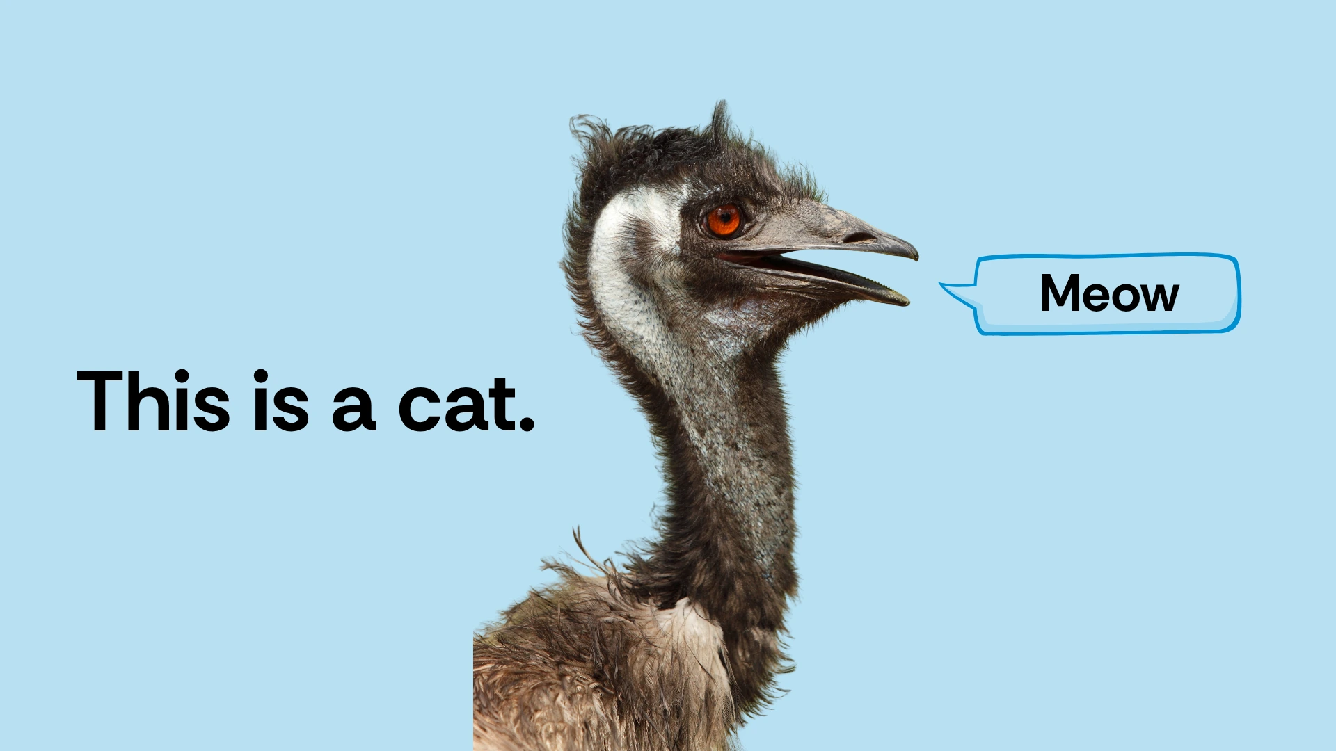 A picture of an emu trying to be a cat saying meow to show misalignment of brand and purpose